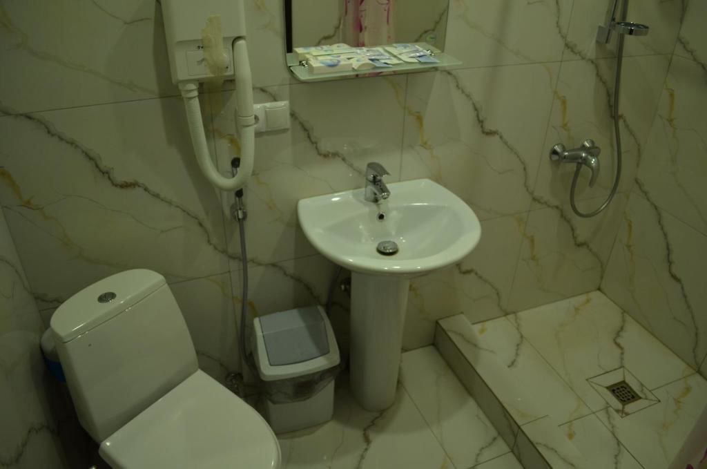 Гостиница Мини-Отель Альбатрос Иркутск-30