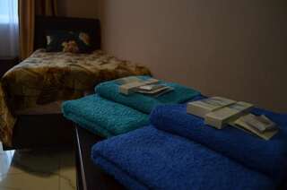 Гостиница Мини-Отель Альбатрос Иркутск Стандартный двухместный номер с 2 отдельными кроватями-2